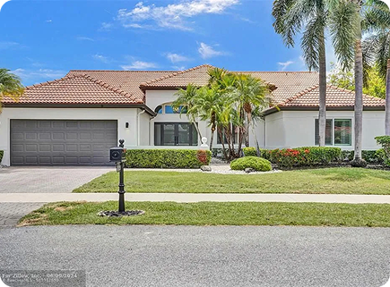 Игровая зона для собак